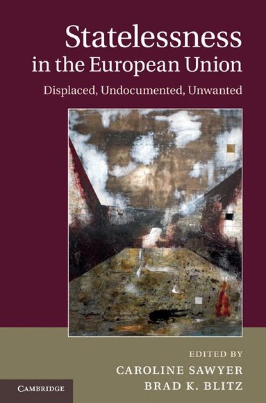 Caroline Sawyer, Brad K. Blitz - Statelessness in the European Union, Inbunden