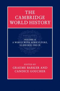 bokomslag The Cambridge World History, Volume 2