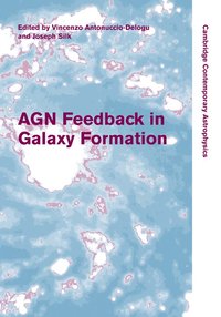 bokomslag AGN Feedback in Galaxy Formation