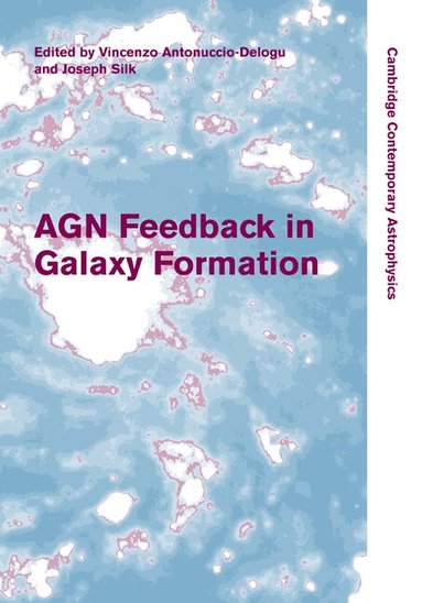 Vincenzo Antonuccio-Delogu, Joseph Silk - AGN Feedback in Galaxy Formation, Inbunden