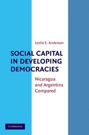 bokomslag Social Capital in Developing Democracies