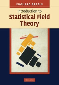 bokomslag Introduction to Statistical Field Theory