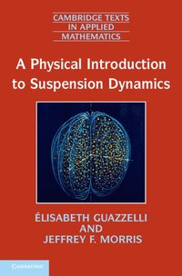 bokomslag A Physical Introduction to Suspension Dynamics