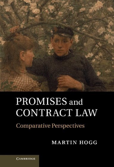 Martin Hogg - Promises and Contract Law, Inbunden