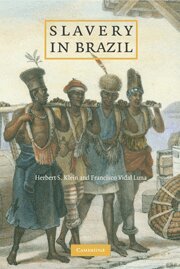 Herbert S. Klein, Francisco Vidal Luna - Slavery in Brazil, Inbunden