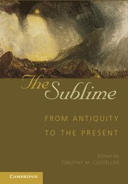 Timothy M. Costelloe - Sublime, Inbunden