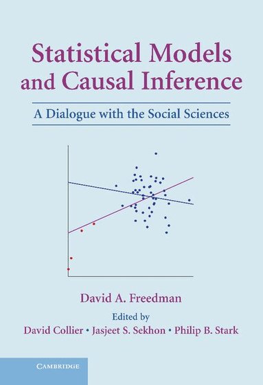 David A. Freedman, David Collier, Jasjeet S. Sekhon, Philip B. Stark - Statistical Models and Causal Inference, Inbunden