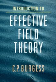 bokomslag Introduction to Effective Field Theory