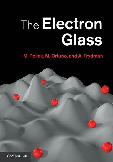 bokomslag The Electron Glass