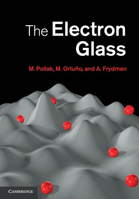 The Electron Glass 1