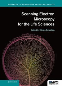 bokomslag Scanning Electron Microscopy for the Life Sciences