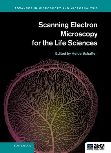 Heide Schatten - Scanning Electron Microscopy for the Life Sciences, Inbunden