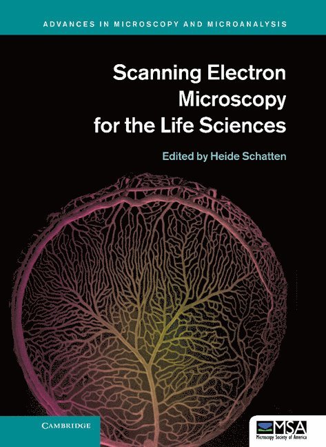 Scanning Electron Microscopy for the Life Sciences 1