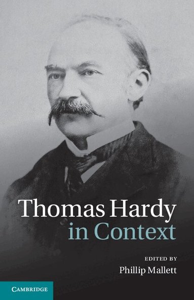 Phillip Mallett - Thomas Hardy in Context, Inbunden
