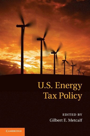 bokomslag US Energy Tax Policy