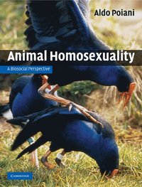bokomslag Animal Homosexuality