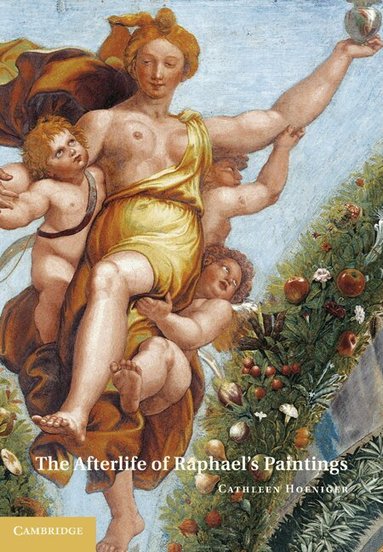 Cathleen Hoeniger - The Afterlife of Raphael's Paintings, Inbunden