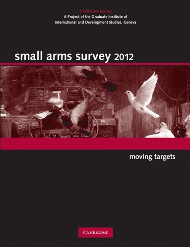 bokomslag Small Arms Survey 2012