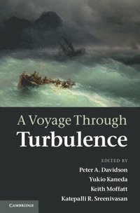 bokomslag A Voyage Through Turbulence