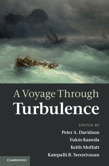 Peter A. Davidson, Yukio Kaneda, Keith Moffatt, Katepalli R. Sreenivasan - A Voyage Through Turbulence, Inbunden