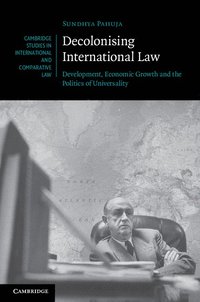 bokomslag Decolonising International Law