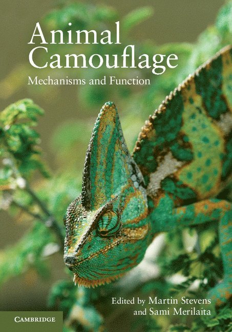 Animal Camouflage 1