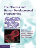 bokomslag The Placenta and Human Developmental Programming