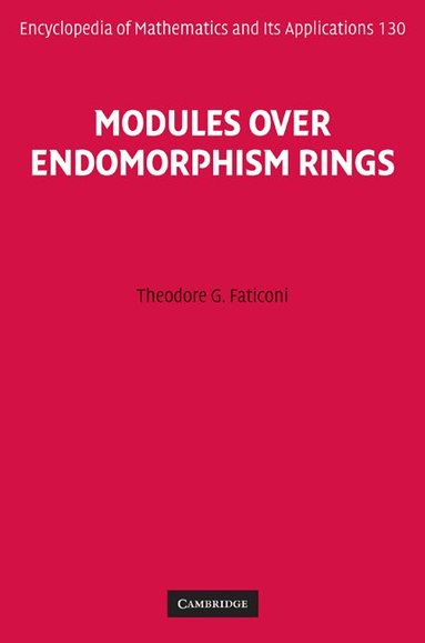Theodore G. Faticoni - Modules over Endomorphism Rings, Inbunden