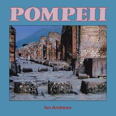 bokomslag Pompeii