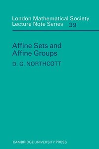 bokomslag Affine Sets and Affine Groups