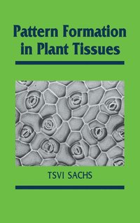 bokomslag Pattern Formation in Plant Tis
