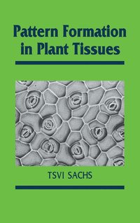 bokomslag Pattern Formation in Plant Tissues