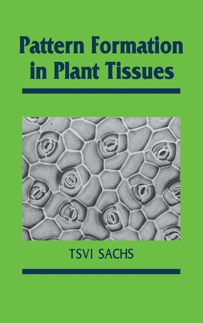 Pattern Formation in Plant Tissues 1