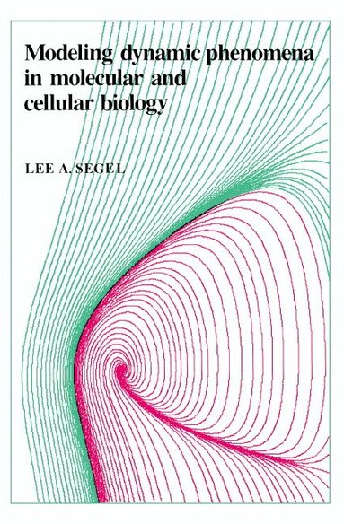 Lee A. Segel - Modeling Dynamic Phenomena in Molecular and Cellular Biology, Häftad