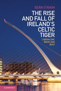 bokomslag The Rise and Fall of Ireland's Celtic Tiger