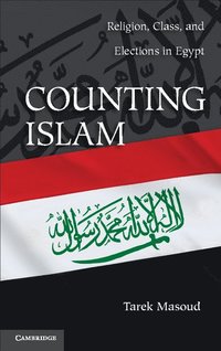 bokomslag Counting Islam