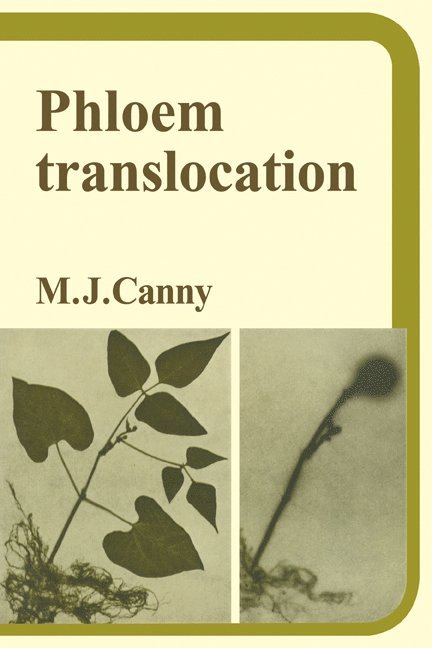 Phloem Translocation 1