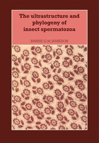 bokomslag The Ultrastructure and Phylogeny of Insect Spermatozoa