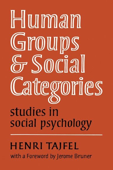 bokomslag Human Groups and Social Categories
