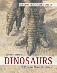 bokomslag Dinosaurs: A Concise Natural History