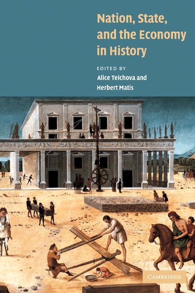 Alice Teichova, Herbert Matis - Nation, State and the Economy in History, Häftad