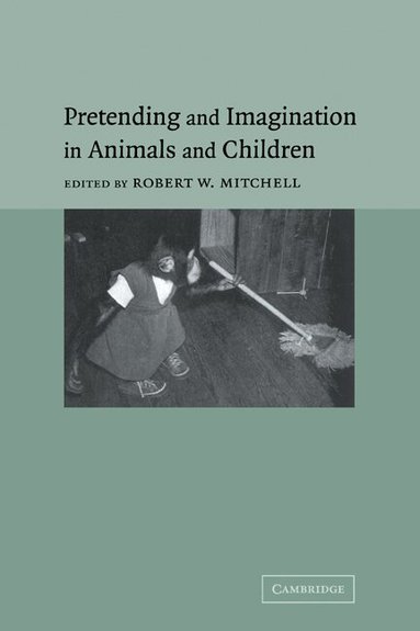 Robert W. Mitchell - Pretending and Imagination in Animals and Children, Häftad