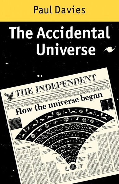 P. C. W. Davies - The Accidental Universe, Häftad