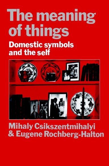 Mihaly Csikszentmihalyi, Eugene Halton - The Meaning of Things, Häftad