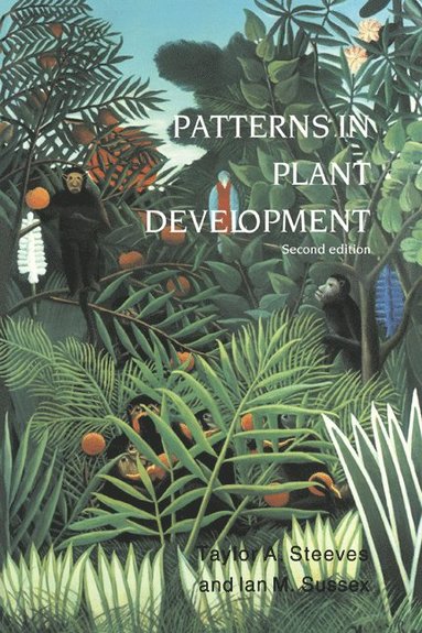 bokomslag Patterns in Plant Development