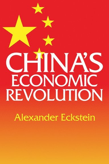 bokomslag China's Economic Revolution