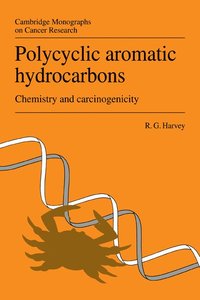bokomslag Polycyclic Aromatic Hydrocarbons