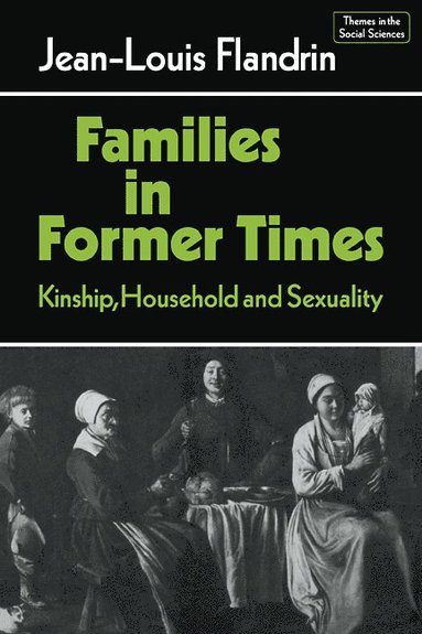 bokomslag Families in Former Times