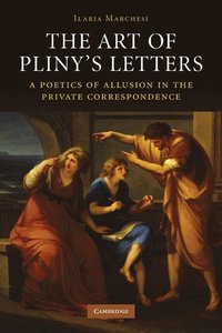 bokomslag Art of Pliny's Letters