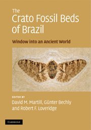 David M. Martill, Günter Bechly, Robert F. Loveridge, David M. (University of Portsmouth) Martill, Gunter Bechly, Robert F. (University of Portsmouth) Loveridge, G. Nter Bechly - Crato Fossil Beds of Brazil, Häftad
